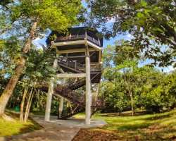 There is also a three-storey building inside the mangrove area so that the visitors can watch birds residing in the area.